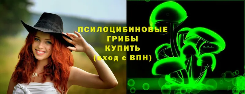 Галлюциногенные грибы Psilocybine cubensis  Вязники 